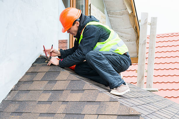 Roof Gutter Cleaning in Sisseton, SD